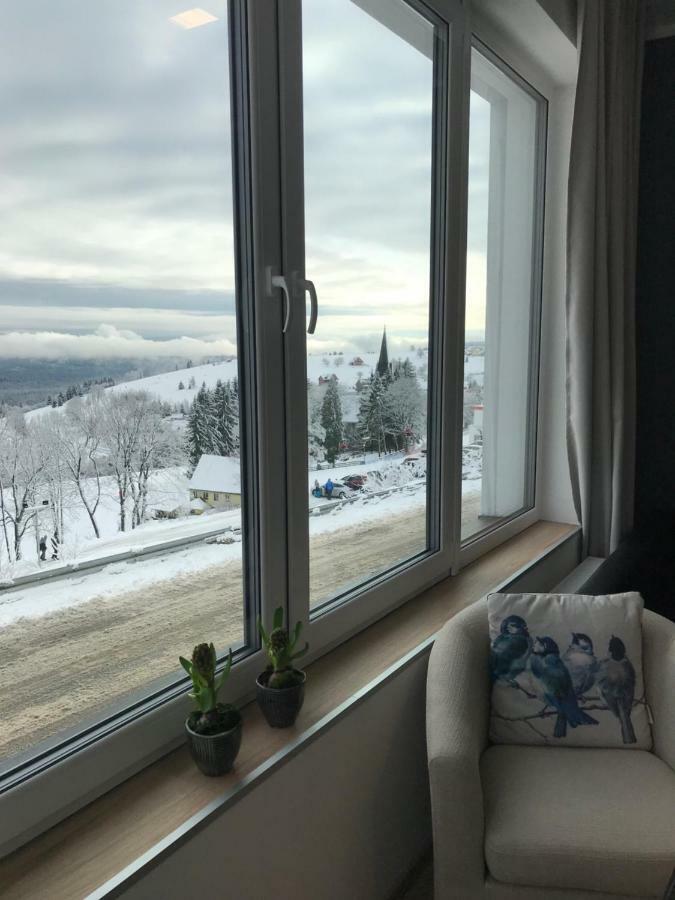 Apartamenty Zieleniec Duszniki Zdrój Εξωτερικό φωτογραφία